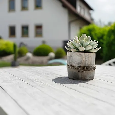 Paradies *